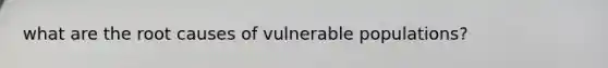 what are the root causes of vulnerable populations?