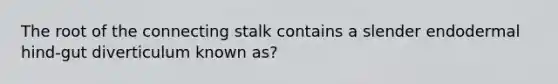 The root of the connecting stalk contains a slender endodermal hind-gut diverticulum known as?