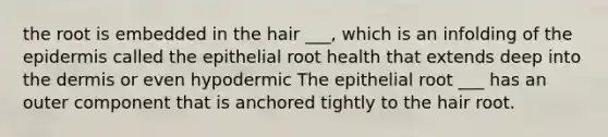 the root is embedded in the hair ___, which is an infolding of the epidermis called the epithelial root health that extends deep into the dermis or even hypodermic The epithelial root ___ has an outer component that is anchored tightly to the hair root.