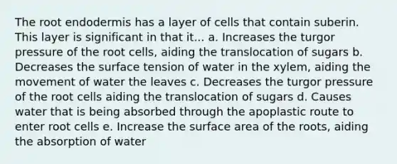 The root endodermis has a layer of cells that contain suberin. This layer is significant in that it... a. Increases the turgor pressure of the root cells, aiding the translocation of sugars b. Decreases the surface tension of water in the xylem, aiding the movement of water the leaves c. Decreases the turgor pressure of the root cells aiding the translocation of sugars d. Causes water that is being absorbed through the apoplastic route to enter root cells e. Increase the surface area of the roots, aiding the absorption of water