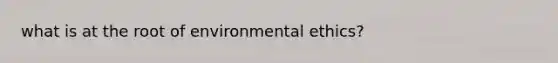 what is at the root of environmental ethics?