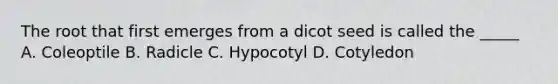 The root that first emerges from a dicot seed is called the _____ A. Coleoptile B. Radicle C. Hypocotyl D. Cotyledon