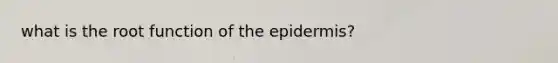 what is the root function of the epidermis?