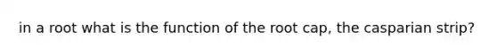 in a root what is the function of the root cap, the casparian strip?