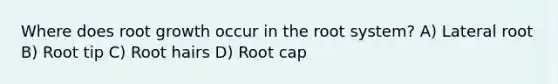 Where does root growth occur in the root system? A) Lateral root B) Root tip C) Root hairs D) Root cap