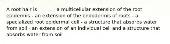 A root hair is _____. - a multicellular extension of the root epidermis - an extension of the endodermis of roots - a specialized root epidermal cell - a structure that absorbs water from soil - an extension of an individual cell and a structure that absorbs water from soil