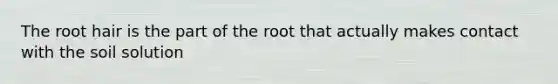 The root hair is the part of the root that actually makes contact with the soil solution