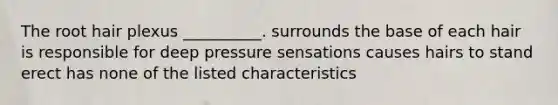 The root hair plexus __________. surrounds the base of each hair is responsible for deep pressure sensations causes hairs to stand erect has none of the listed characteristics