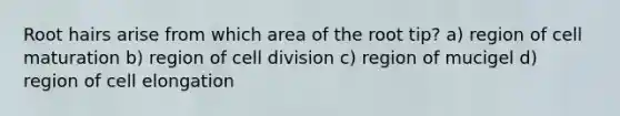 Root hairs arise from which area of the root tip? a) region of cell maturation b) region of cell division c) region of mucigel d) region of cell elongation