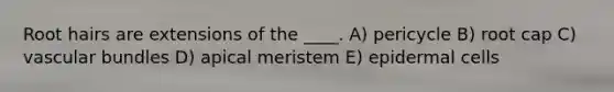 ​Root hairs are extensions of the ____. A) pericycle B) root cap C) vascular bundles D) apical meristem E) epidermal cells