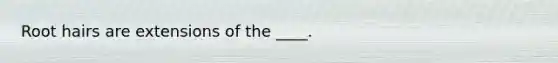 ​Root hairs are extensions of the ____.