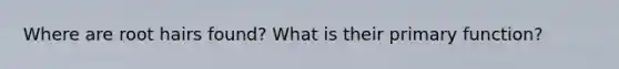 Where are root hairs found? What is their primary function?
