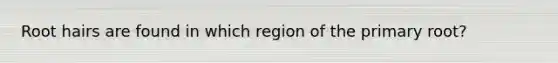 Root hairs are found in which region of the primary root?