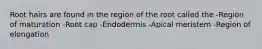 Root hairs are found in the region of the root called the -Region of maturation -Root cap -Endodermis -Apical meristem -Region of elongation