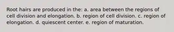 Root hairs are produced in the: a. area between the regions of cell division and elongation. b. region of cell division. c. region of elongation. d. quiescent center. e. region of maturation.