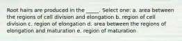 Root hairs are produced in the _____. Select one: a. area between the regions of cell division and elongation b. region of cell division c. region of elongation d. area between the regions of elongation and maturation e. region of maturation