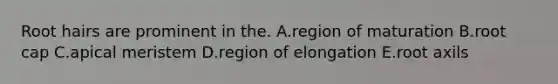 Root hairs are prominent in the. A.region of maturation B.root cap C.apical meristem D.region of elongation E.root axils