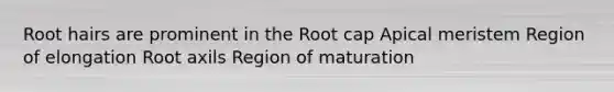 Root hairs are prominent in the Root cap Apical meristem Region of elongation Root axils Region of maturation