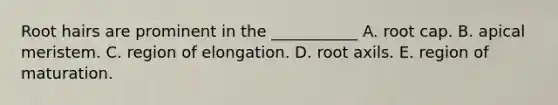 Root hairs are prominent in the ___________ A. root cap. B. apical meristem. C. region of elongation. D. root axils. E. region of maturation.