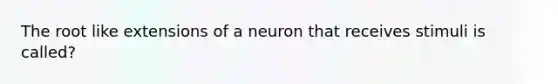 The root like extensions of a neuron that receives stimuli is called?