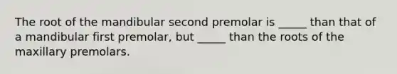 The root of the mandibular second premolar is _____ than that of a mandibular first premolar, but _____ than the roots of the maxillary premolars.