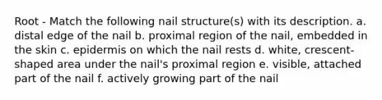 Root - Match the following nail structure(s) with its description. a. distal edge of the nail b. proximal region of the nail, embedded in the skin c. epidermis on which the nail rests d. white, crescent-shaped area under the nail's proximal region e. visible, attached part of the nail f. actively growing part of the nail