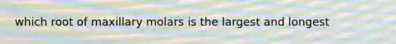 which root of maxillary molars is the largest and longest