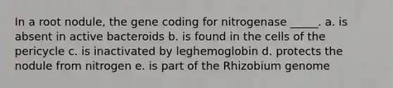 In a root nodule, the gene coding for nitrogenase _____. a. is absent in active bacteroids b. is found in the cells of the pericycle c. is inactivated by leghemoglobin d. protects the nodule from nitrogen e. is part of the Rhizobium genome