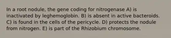 In a root nodule, the gene coding for nitrogenase A) is inactivated by leghemoglobin. B) is absent in active bacteroids. C) is found in the cells of the pericycle. D) protects the nodule from nitrogen. E) is part of the Rhizobium chromosome.