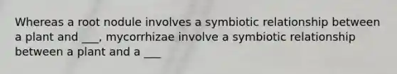 Whereas a root nodule involves a symbiotic relationship between a plant and ___, mycorrhizae involve a symbiotic relationship between a plant and a ___