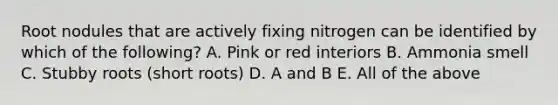 Root nodules that are actively fixing nitrogen can be identified by which of the following? A. Pink or red interiors B. Ammonia smell C. Stubby roots (short roots) D. A and B E. All of the above