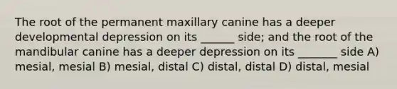 The root of the permanent maxillary canine has a deeper developmental depression on its ______ side; and the root of the mandibular canine has a deeper depression on its _______ side A) mesial, mesial B) mesial, distal C) distal, distal D) distal, mesial