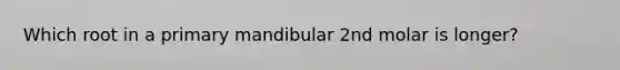 Which root in a primary mandibular 2nd molar is longer?