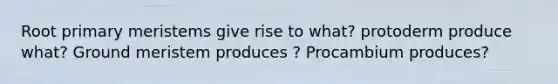 Root primary meristems give rise to what? protoderm produce what? Ground meristem produces ? Procambium produces?