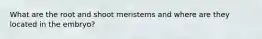 What are the root and shoot meristems and where are they located in the embryo?
