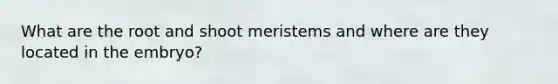 What are the root and shoot meristems and where are they located in the embryo?