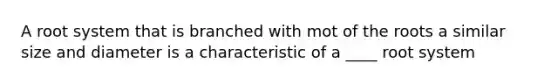 A root system that is branched with mot of the roots a similar size and diameter is a characteristic of a ____ root system