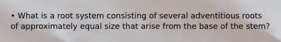 • What is a root system consisting of several adventitious roots of approximately equal size that arise from the base of the stem?