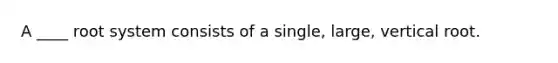 A ____ root system consists of a single, large, vertical root.