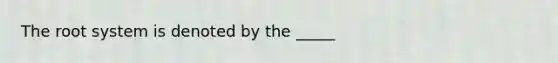 The root system is denoted by the _____