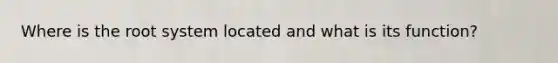 Where is the root system located and what is its function?