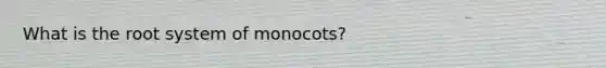 What is the root system of monocots?