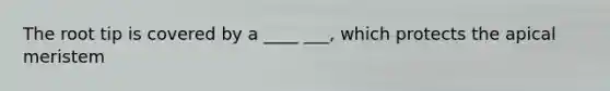 The root tip is covered by a ____ ___, which protects the apical meristem
