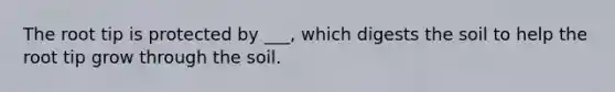 The root tip is protected by ___, which digests the soil to help the root tip grow through the soil.