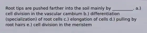 Root tips are pushed farther into the soil mainly by __________. a.) cell division in the vascular cambium b.) differentiation (specialization) of root cells c.) elongation of cells d.) pulling by root hairs e.) cell division in the meristem