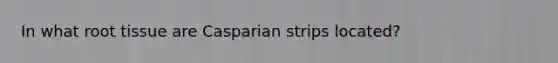 In what root tissue are Casparian strips located?