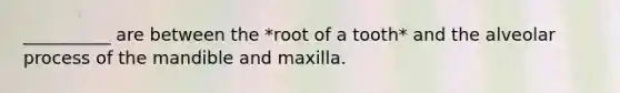 __________ are between the *root of a tooth* and the alveolar process of the mandible and maxilla.