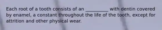 Each root of a tooth consists of an __________ with dentin covered by enamel, a constant throughout the life of the tooth, except for attrition and other physical wear.