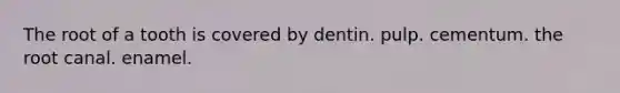 The root of a tooth is covered by dentin. pulp. cementum. the root canal. enamel.