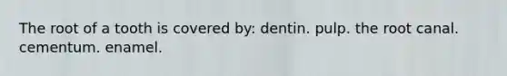 The root of a tooth is covered by: dentin. pulp. the root canal. cementum. enamel.